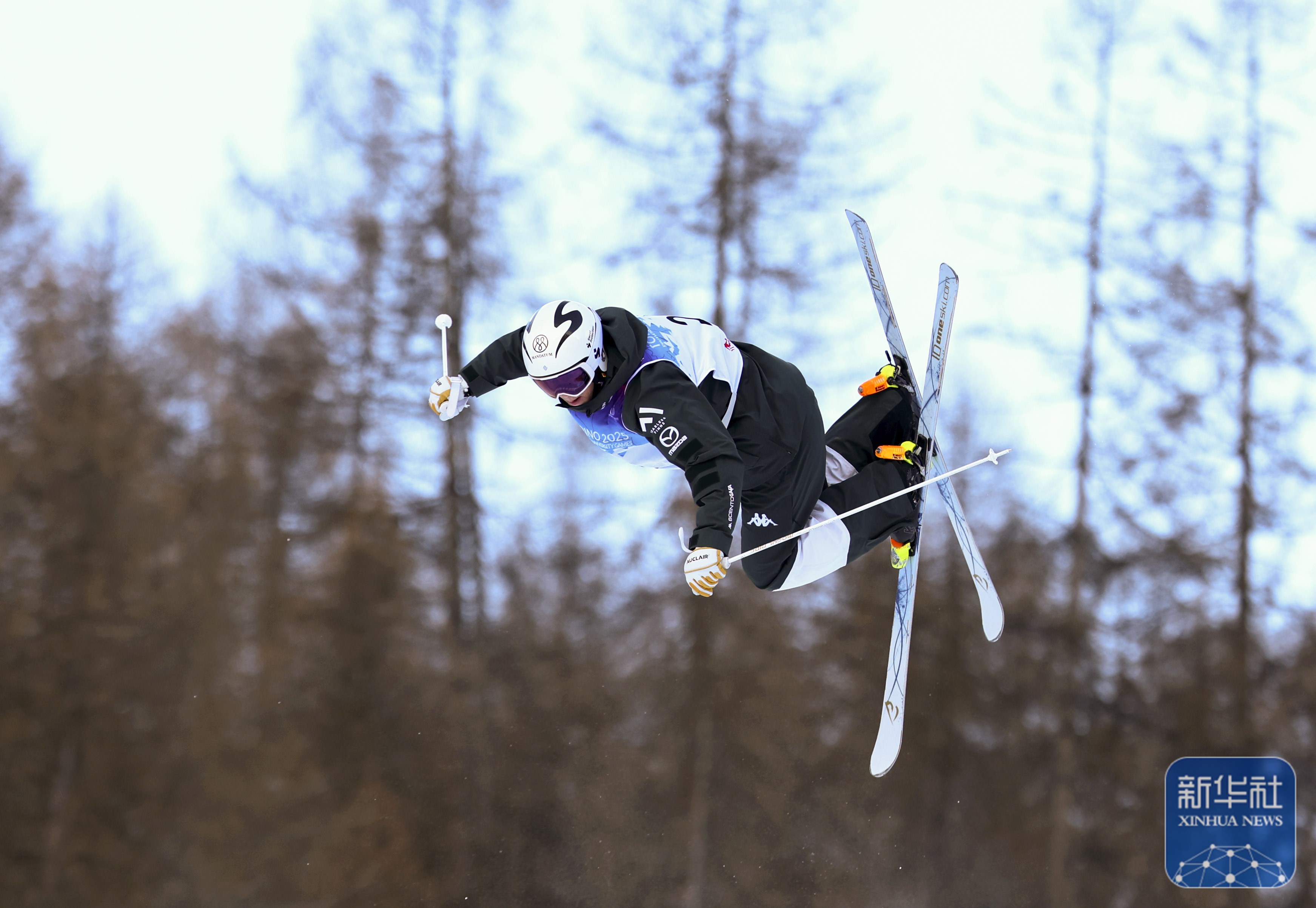 AYX GAME-国际自由式滑雪大奖赛，雪地上的极速飞翔的简单介绍