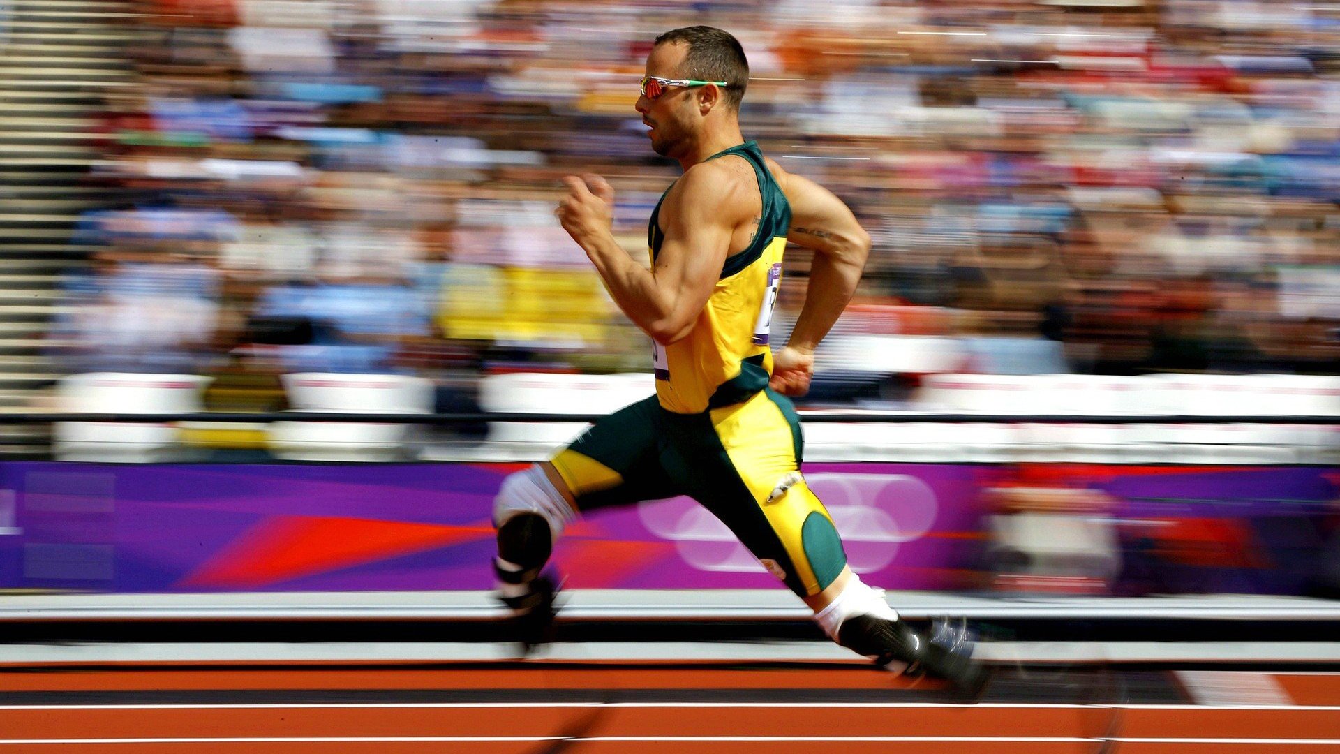 AYX体育官网-绿色赛场：联盟践行低碳环保，开启可持续篮球新时代，绿色低碳环保标语