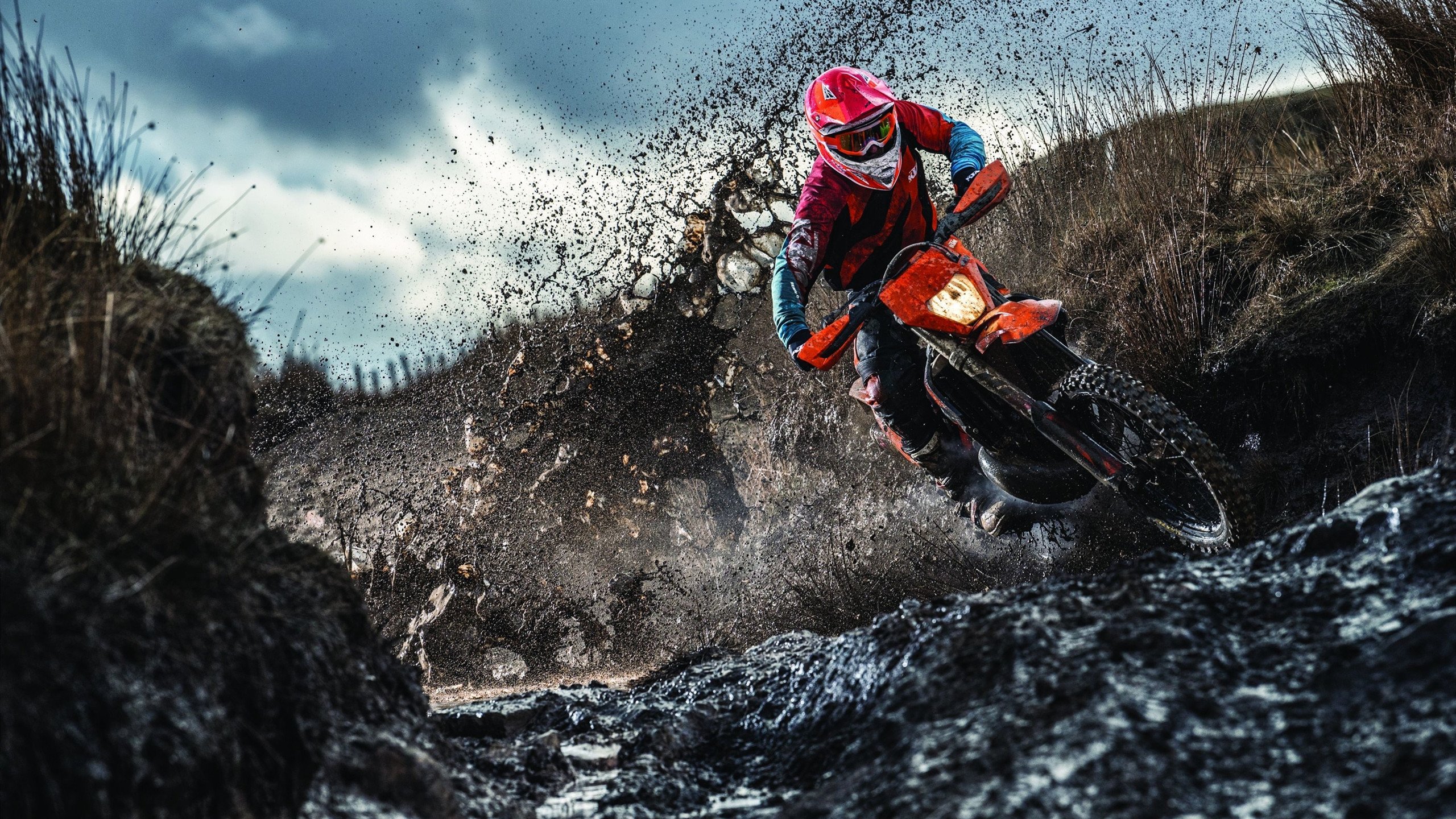 爱游戏官网-伊丽莎白·德克斯泳池内外双重突破，伊丽莎白.德比茨